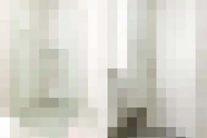 Biesbongerd 51 Kesteren thumbnail 29