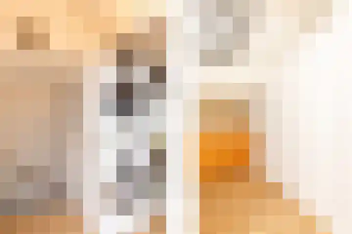 Biesbongerd 51 Kesteren thumbnail 31