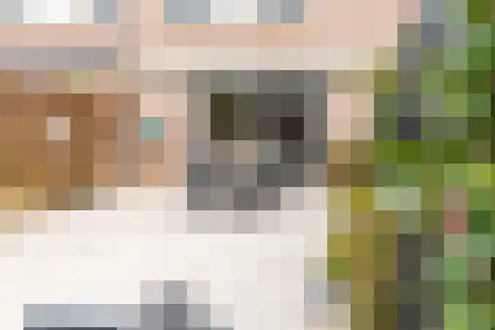 Biesbongerd 51 Kesteren thumbnail 38