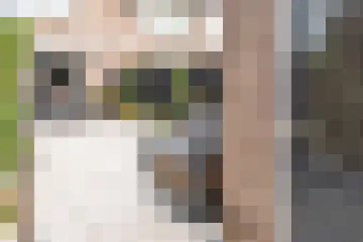 Biesbongerd 51 Kesteren thumbnail 39