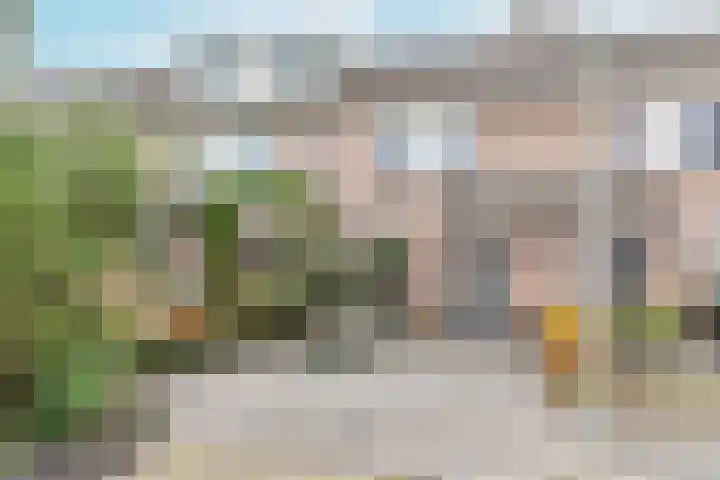 Biesbongerd 51 Kesteren thumbnail 4