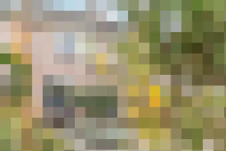 Biesbongerd 51 Kesteren thumbnail 44