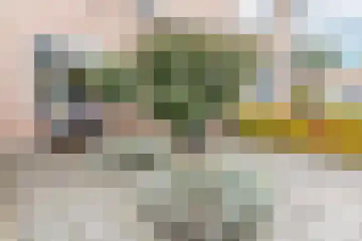Biesbongerd 51 Kesteren thumbnail 46