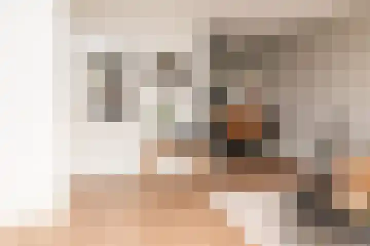 Biesbongerd 51 Kesteren thumbnail 49