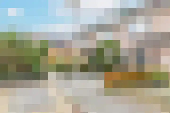 Biesbongerd 51 Kesteren thumbnail 5
