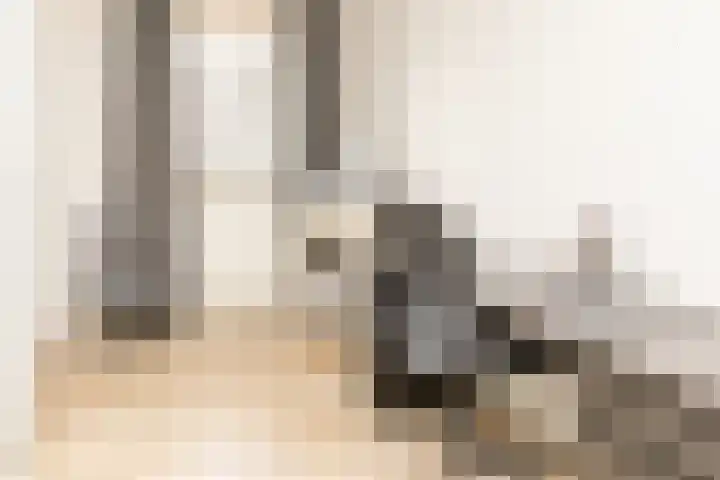 Biesbongerd 51 Kesteren thumbnail 58