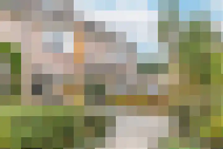Biesbongerd 51 Kesteren thumbnail 6
