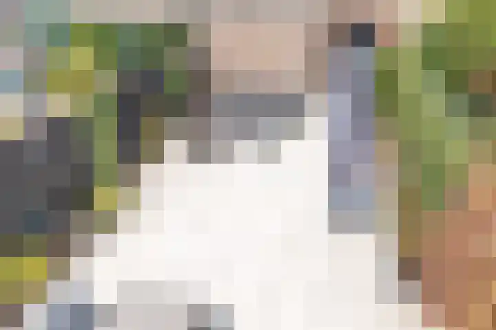 Biesbongerd 51 Kesteren thumbnail 64
