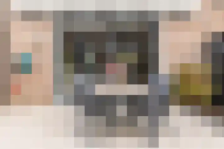 Biesbongerd 51 Kesteren thumbnail 66