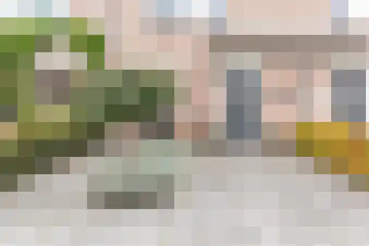 Biesbongerd 51 Kesteren thumbnail 7