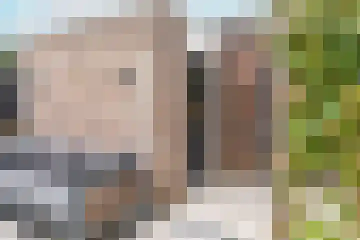 Biesbongerd 51 Kesteren thumbnail 70