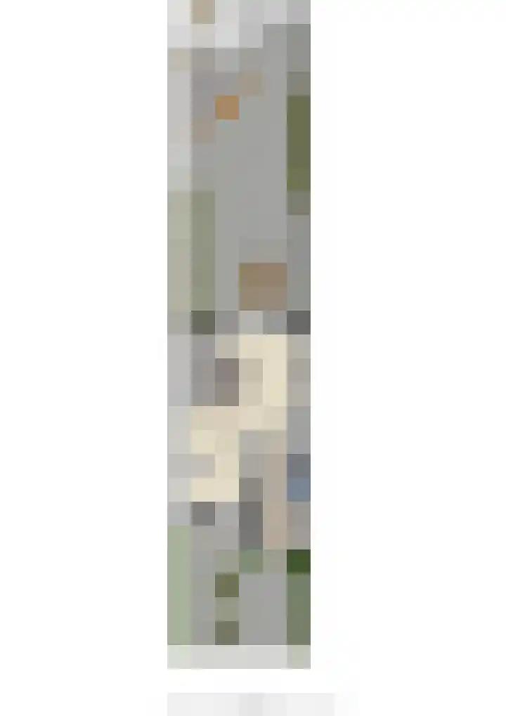 Biesbongerd 51 Kesteren thumbnail 75