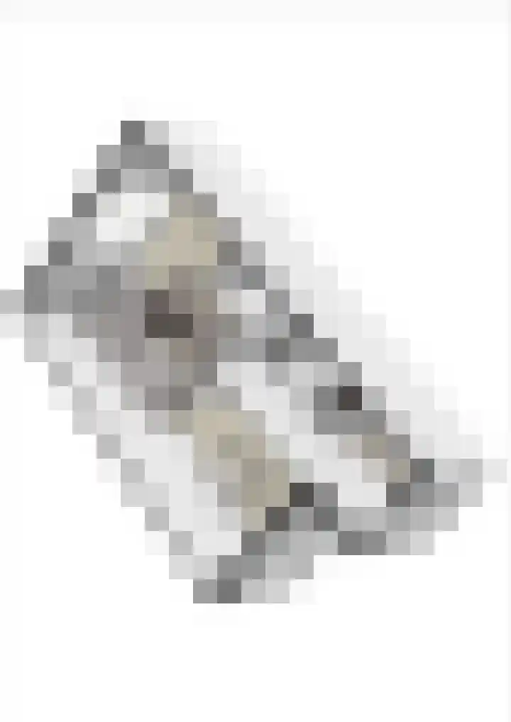 Biesbongerd 51 Kesteren thumbnail 76