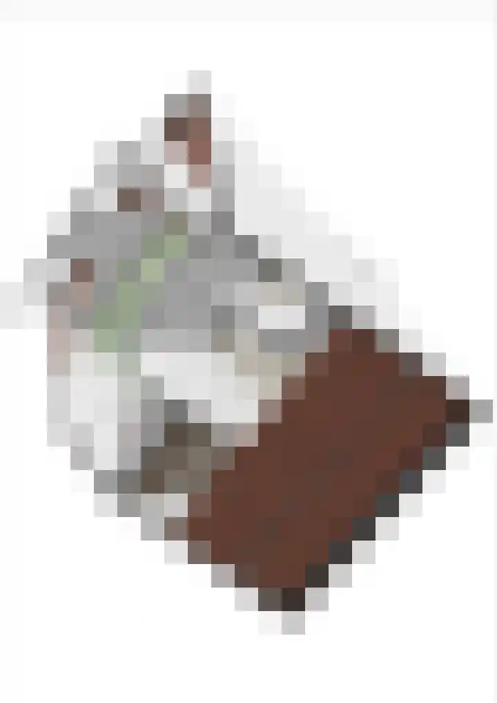 Biesbongerd 51 Kesteren thumbnail 78