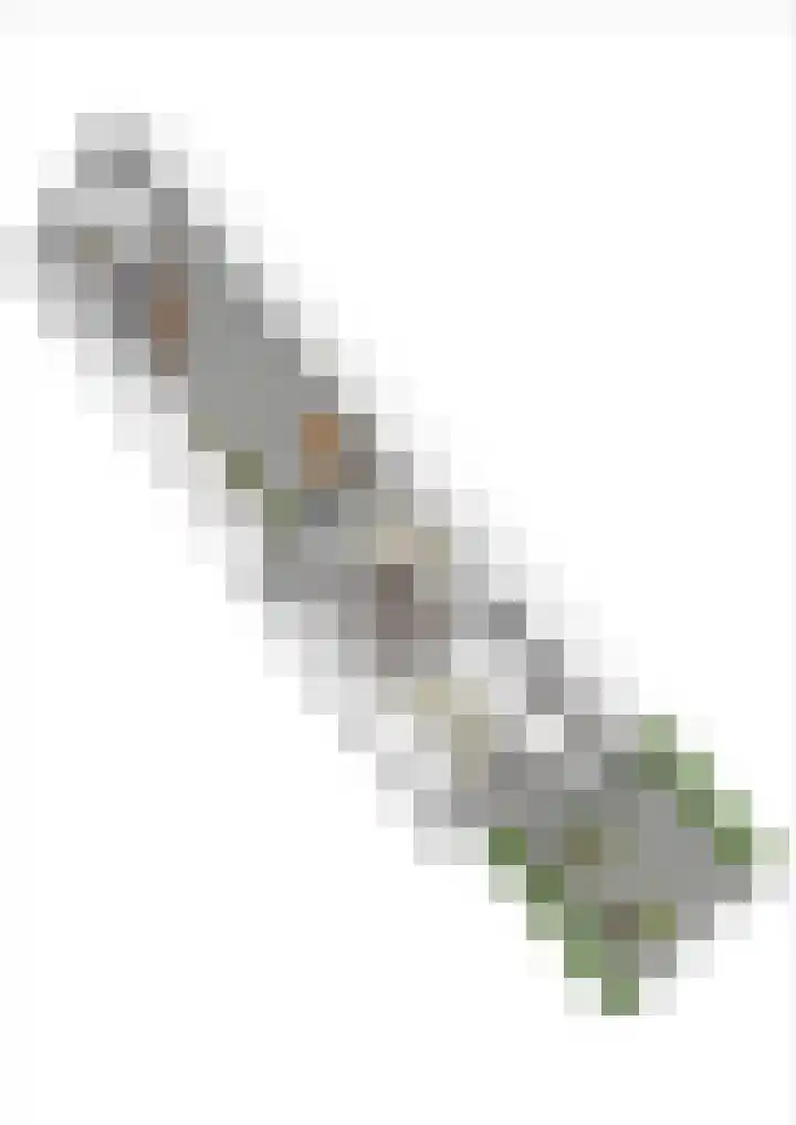 Biesbongerd 51 Kesteren thumbnail 79