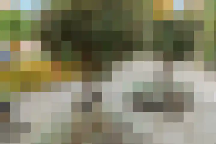 Biesbongerd 51 Kesteren thumbnail 8