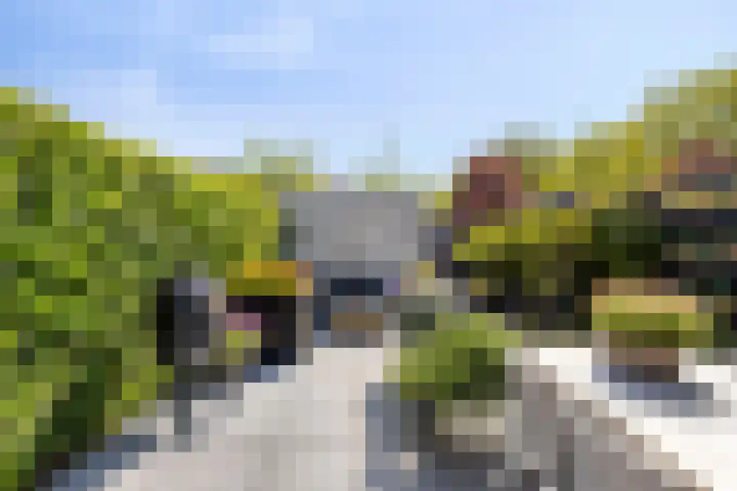 Biesbos 22 Honselersdijk thumbnail 21