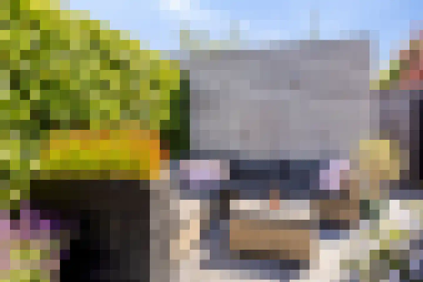 Biesbos 22 Honselersdijk thumbnail 22