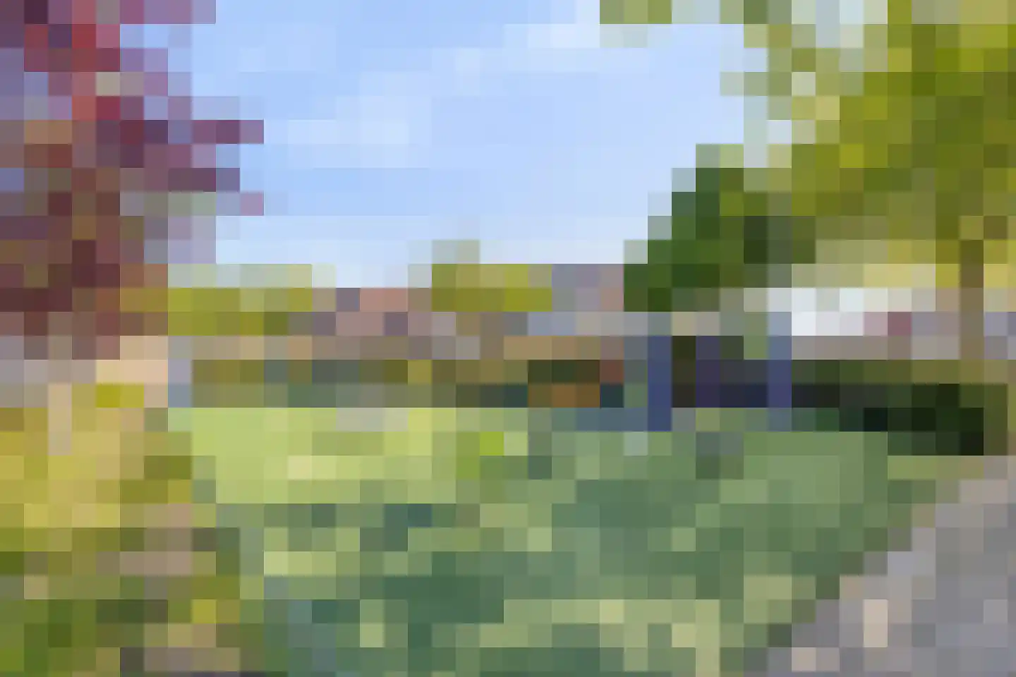 Biesbos 22 Honselersdijk thumbnail 25