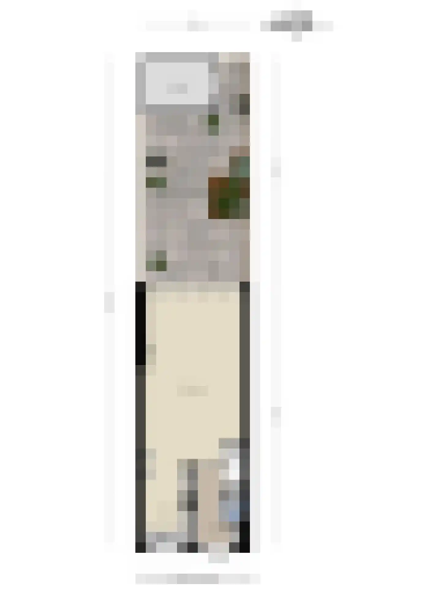 Biesbos 22 Honselersdijk thumbnail 28