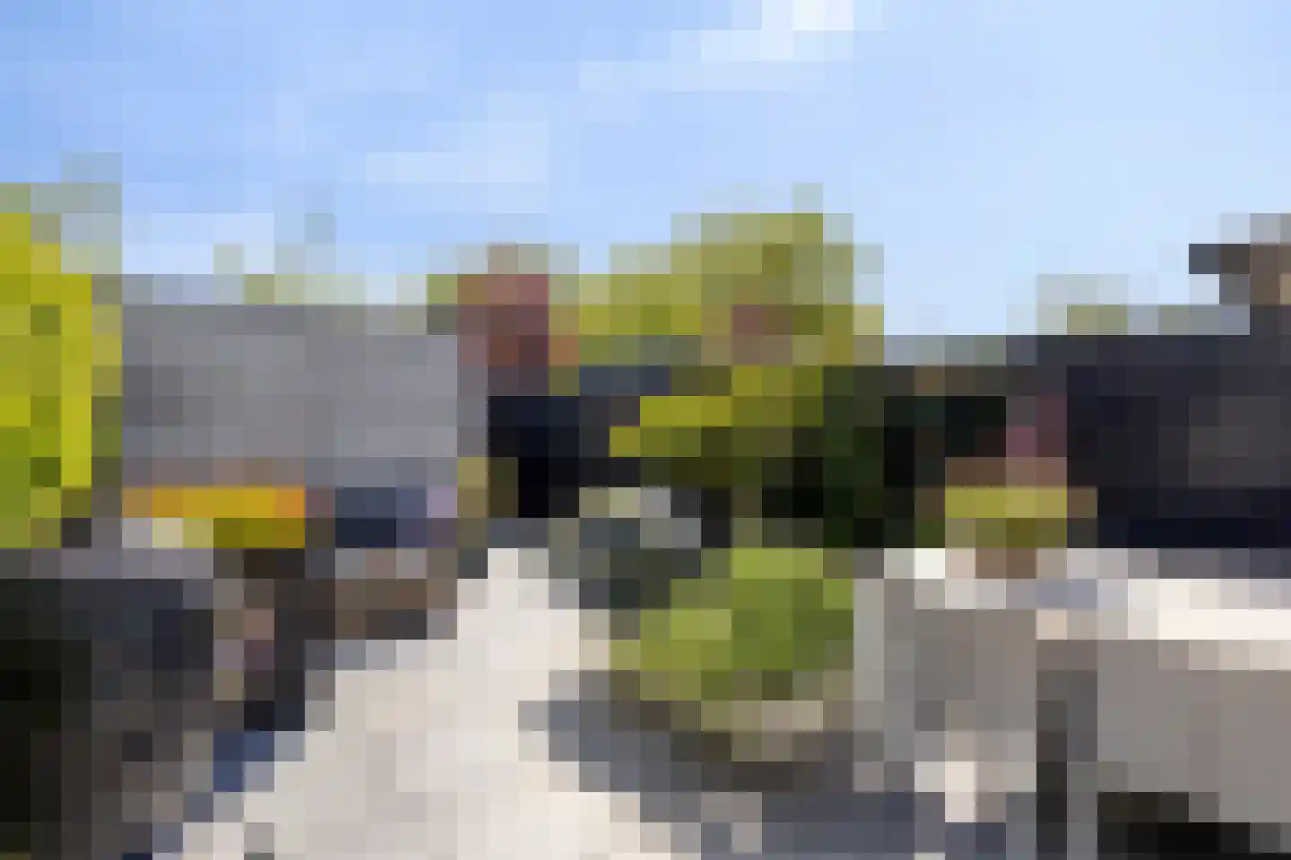 Biesbos 22 Honselersdijk thumbnail 4