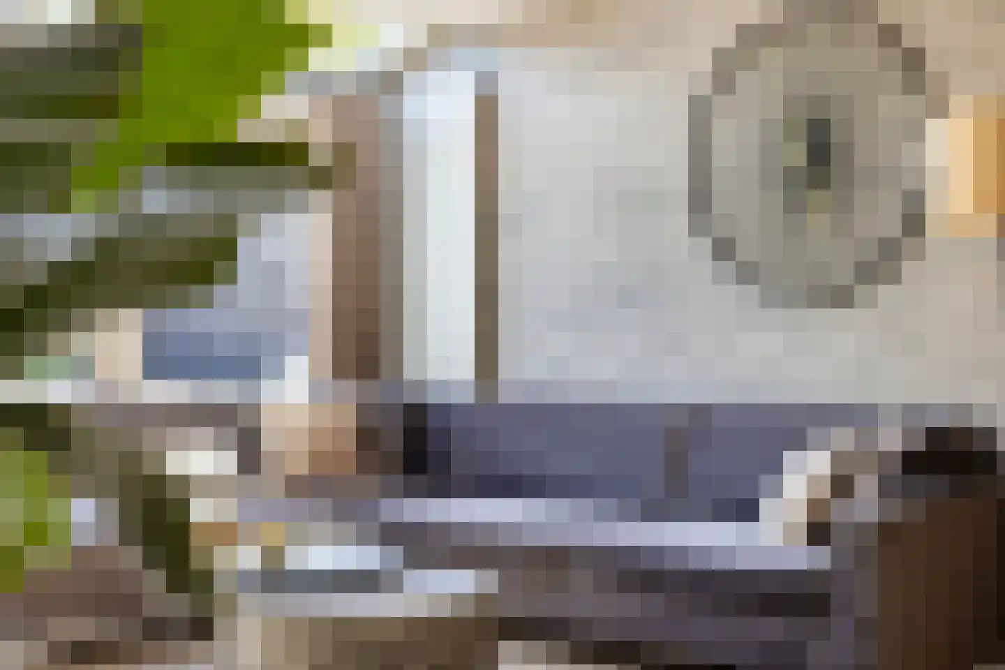 Biesbos 22 Honselersdijk thumbnail 8