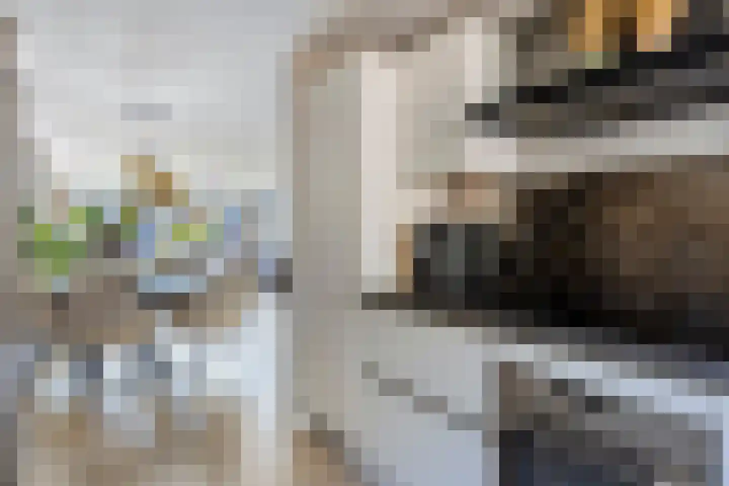 Biesbos 22 Honselersdijk thumbnail 9