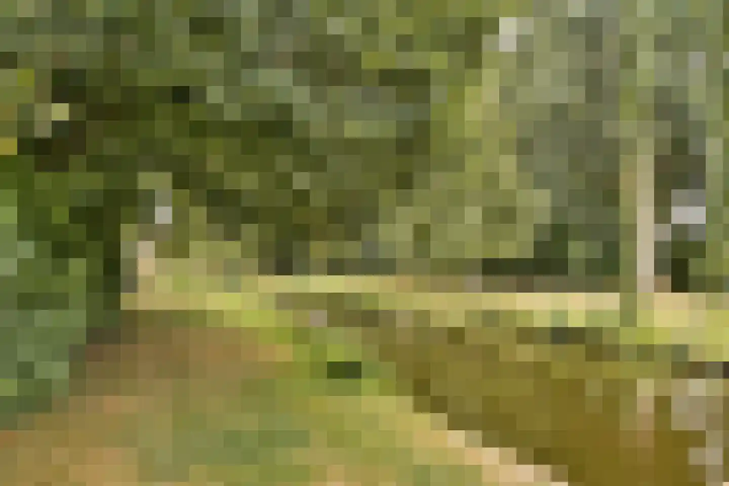 Biesbosch 1 A Amstelveen thumbnail 19