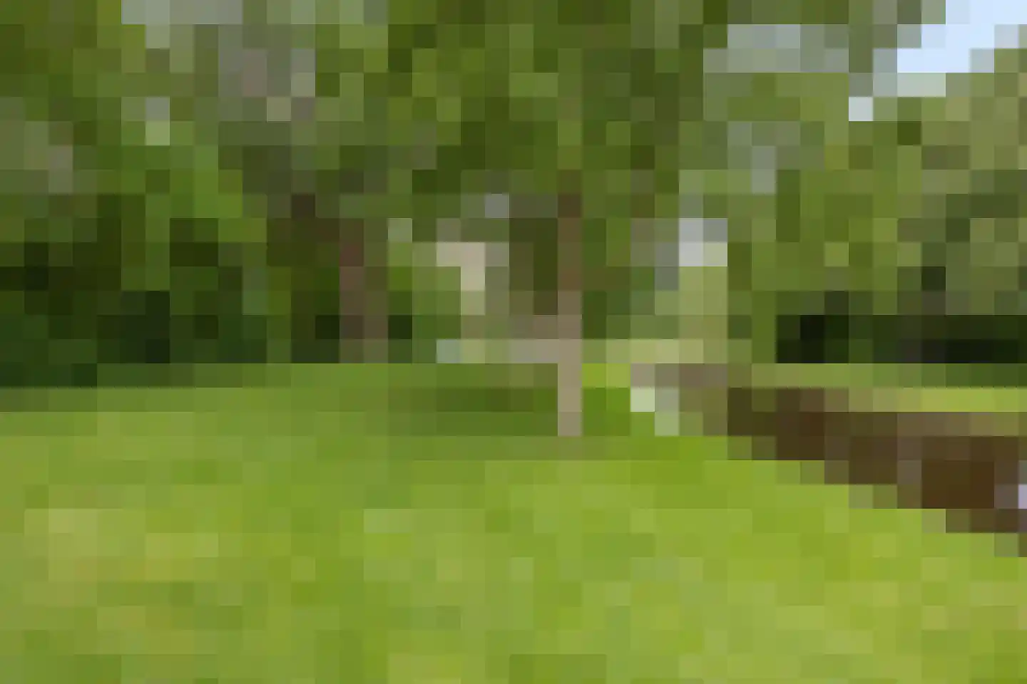 Biesbosch 11 Amstelveen thumbnail 23