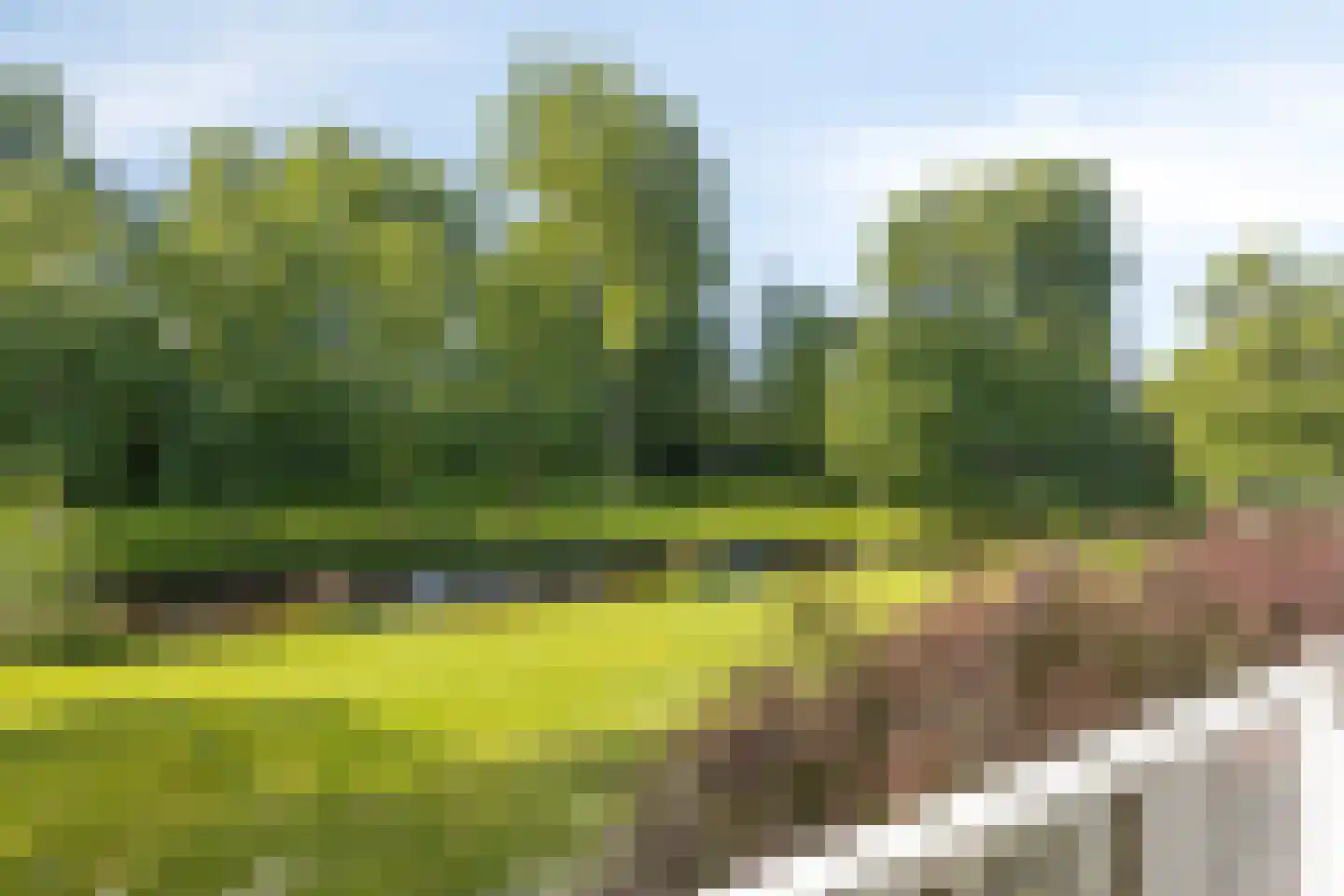 Biesbosch 11 Amstelveen thumbnail 4