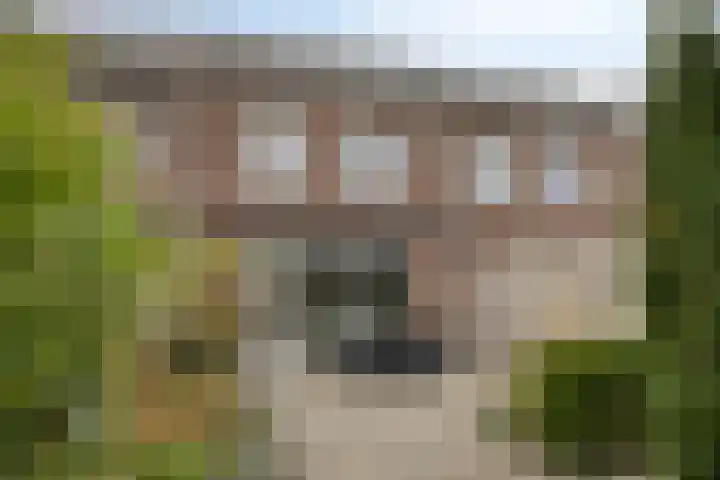 Biesbosch 13 Zeewolde thumbnail 41