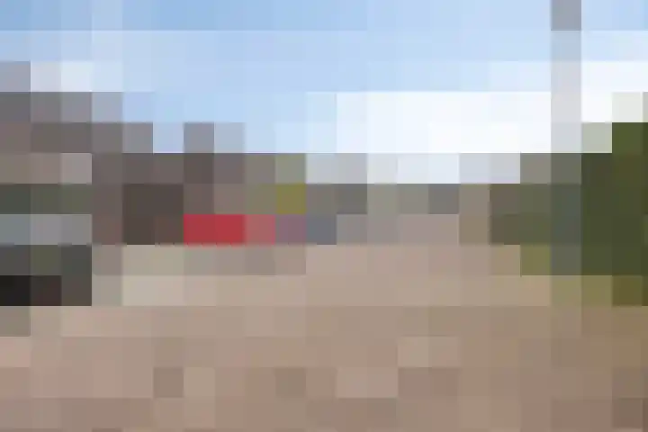 Biesbosch 13 Zeewolde thumbnail 42