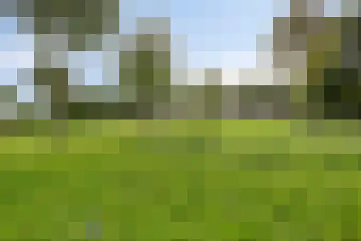 Biesbosch 13 Zeewolde thumbnail 43