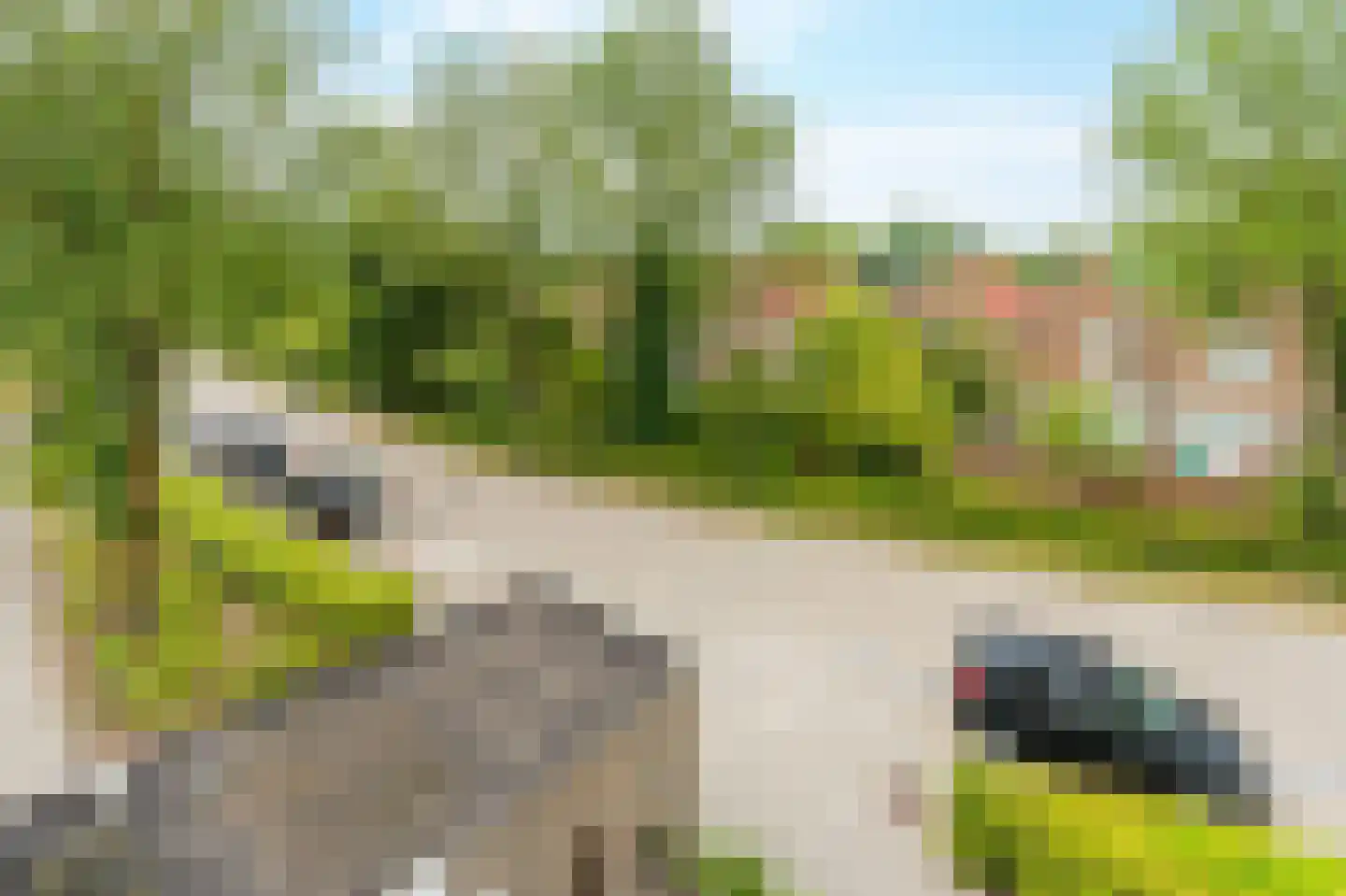 Biesbosch 15 Diemen thumbnail 48