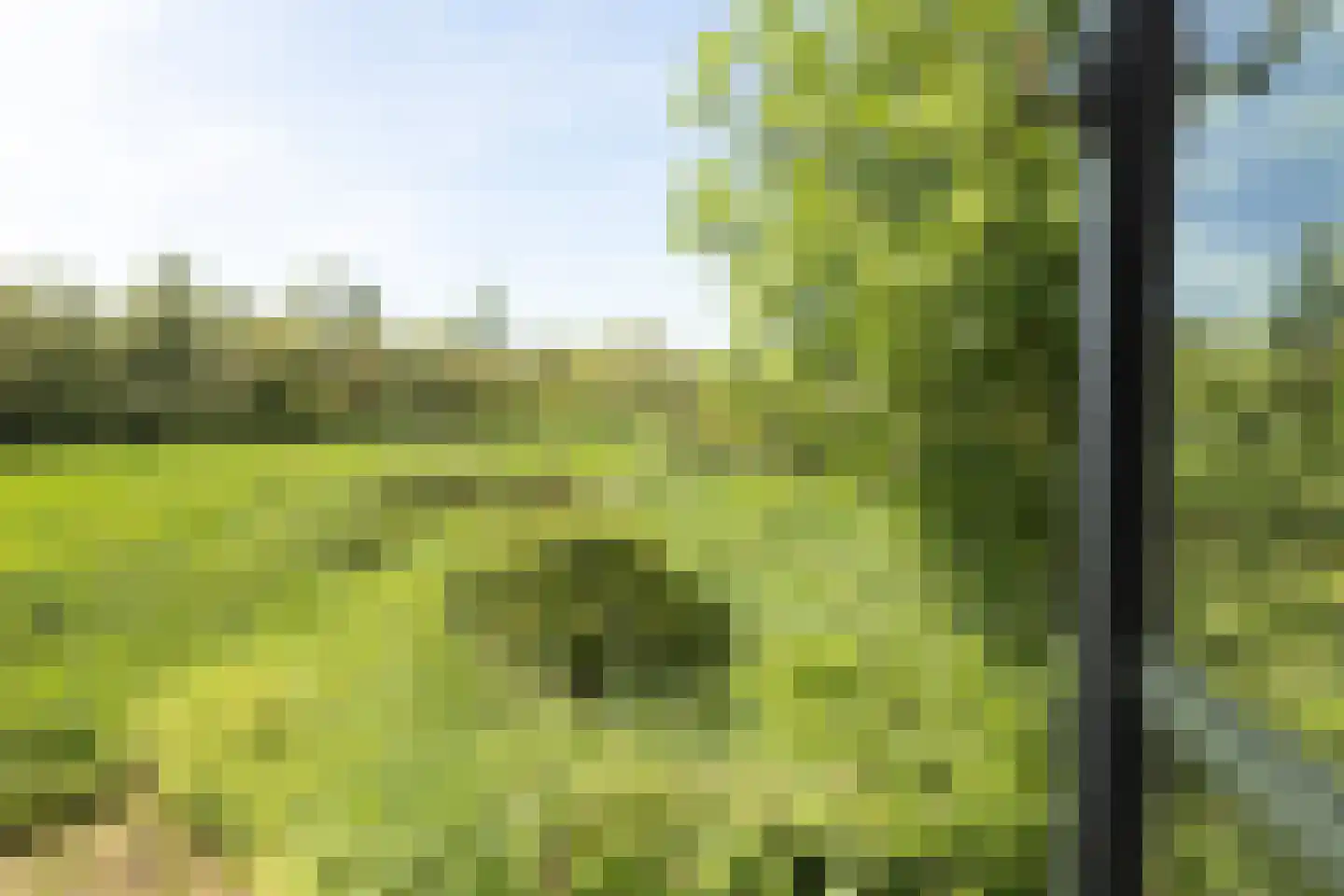 Biesbosch 18 Drimmelen thumbnail 23