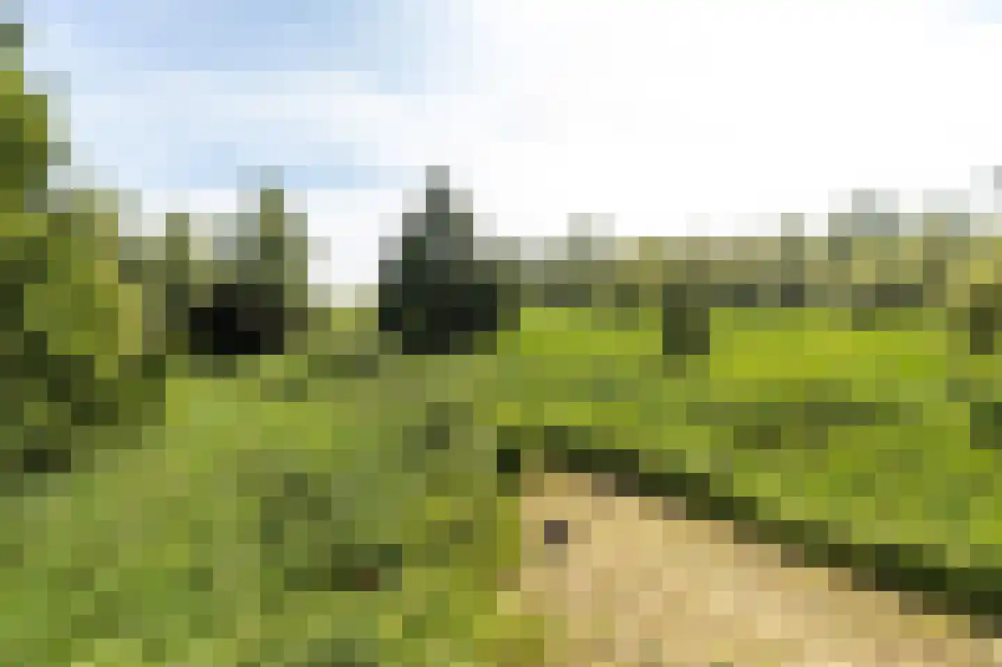 Biesbosch 18 Drimmelen thumbnail 24