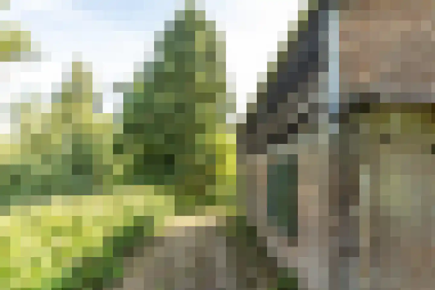 Biesbosch 18 Drimmelen thumbnail 9