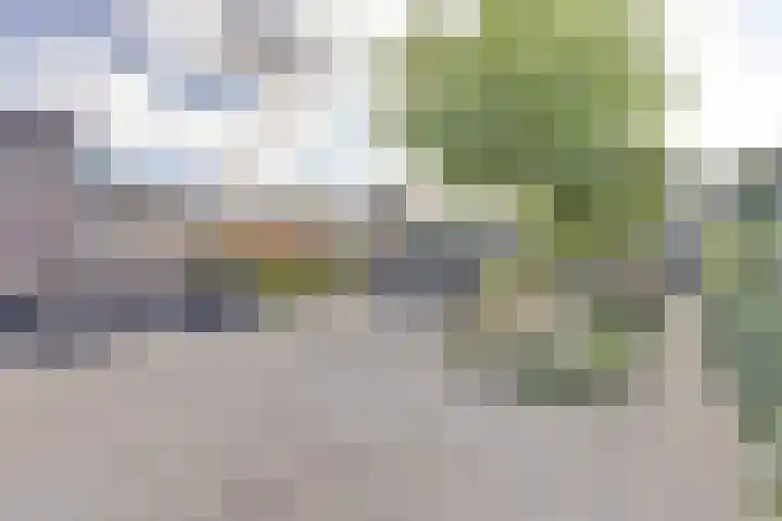 Biesbosch 19 Zeewolde thumbnail 26
