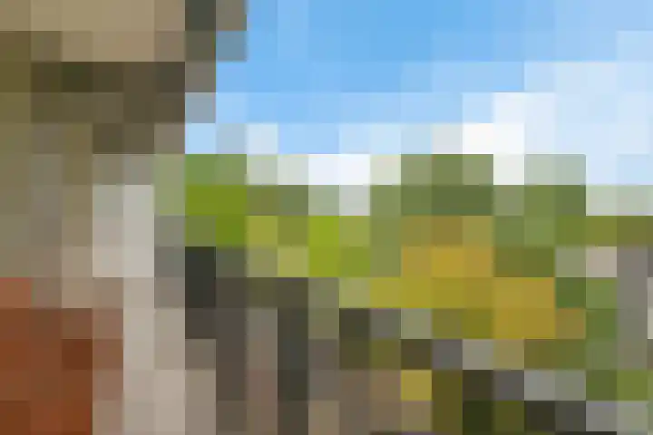 Biesbosch 203 Amstelveen thumbnail 23