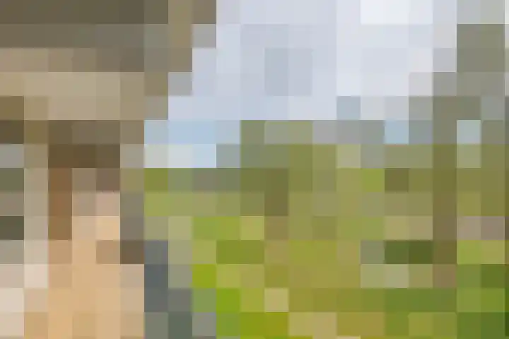 Biesbosch 203 Amstelveen thumbnail 27