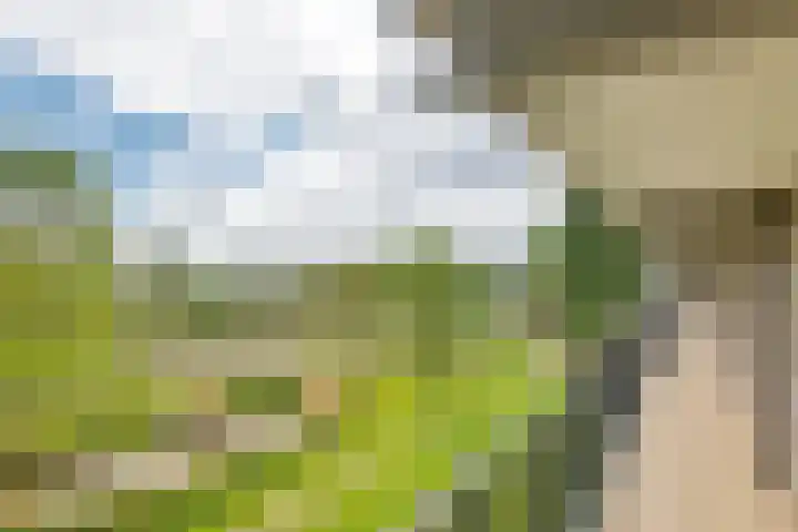 Biesbosch 203 Amstelveen thumbnail 4
