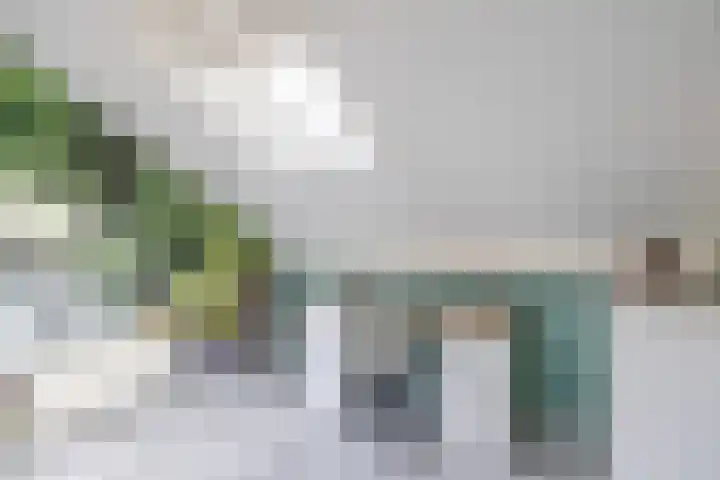 Biesbosch 27 Hoogeveen thumbnail 42