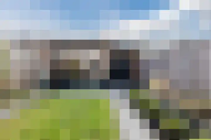 Biesbosch 27 Hoogeveen thumbnail 58