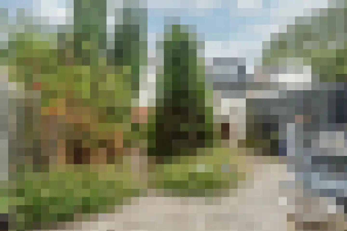 Biesbosch 28 Amstelveen thumbnail 5