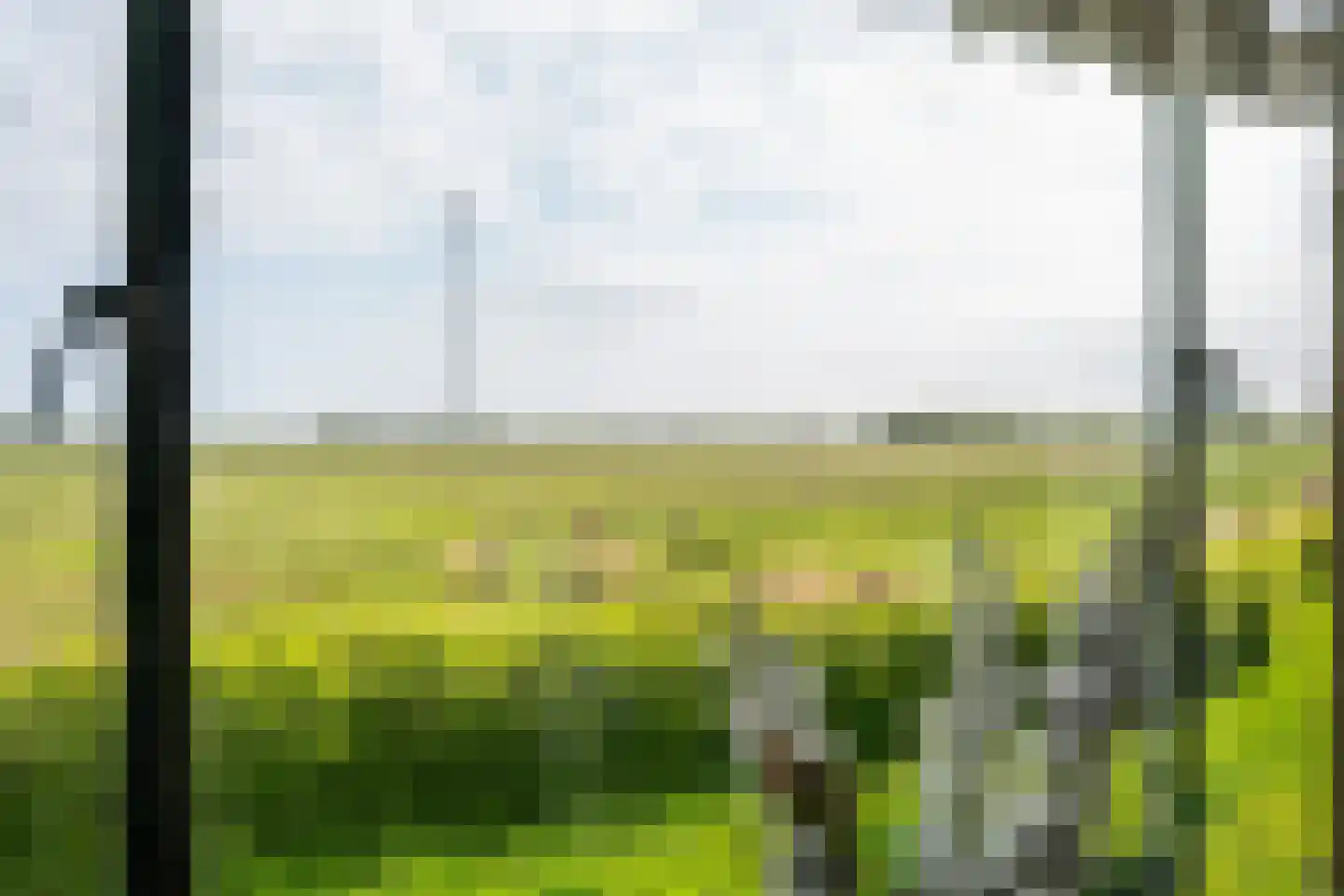 Biesbosch 30 Drimmelen thumbnail 17