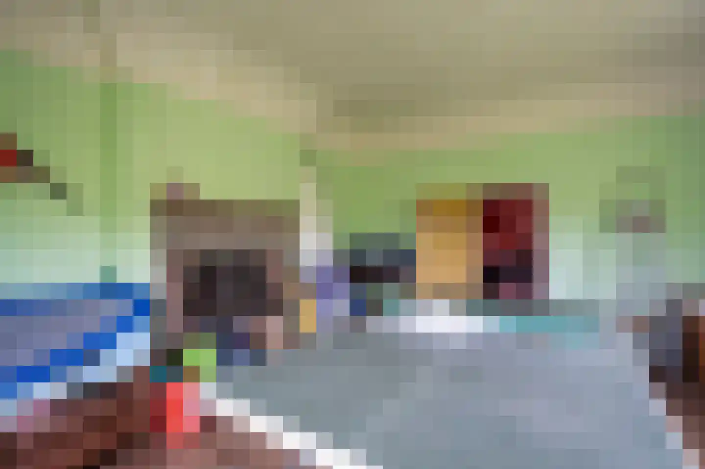 Biesbosch 30 Drimmelen thumbnail 18