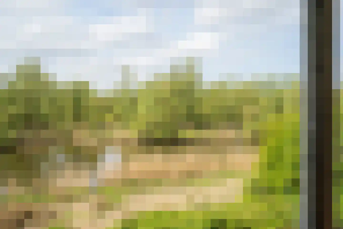 Biesbosch 30 Drimmelen thumbnail 28