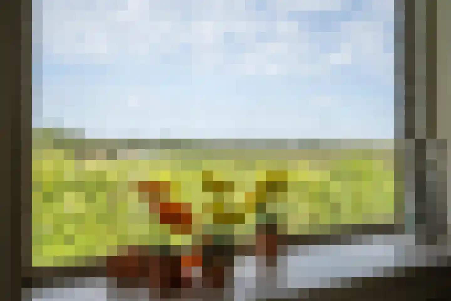 Biesbosch 30 Drimmelen thumbnail 35