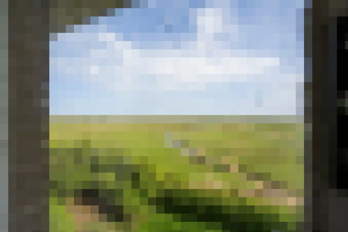 Biesbosch 30 Drimmelen thumbnail 37