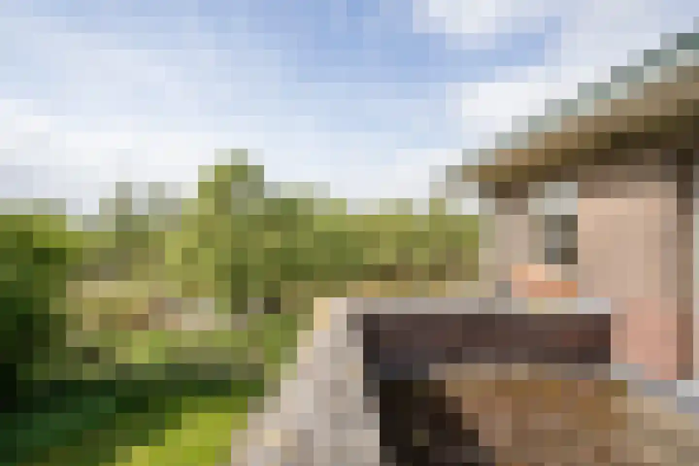 Biesbosch 30 Drimmelen thumbnail 39